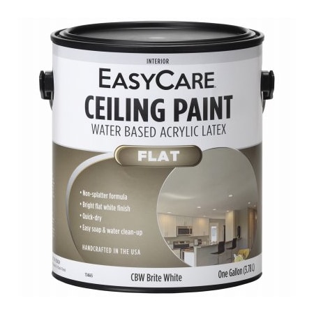 True Value SR GAL WHT Ceil Paint CBW-GL